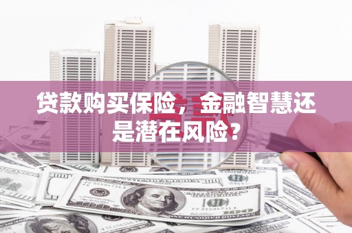 兴安盟贷款购买保险，金融智慧还是潜在风险？