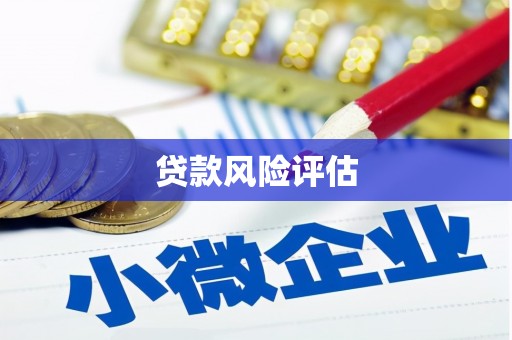 兴安盟贷款风险评估