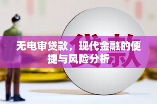兴安盟无电审贷款，现代金融的便捷与风险分析