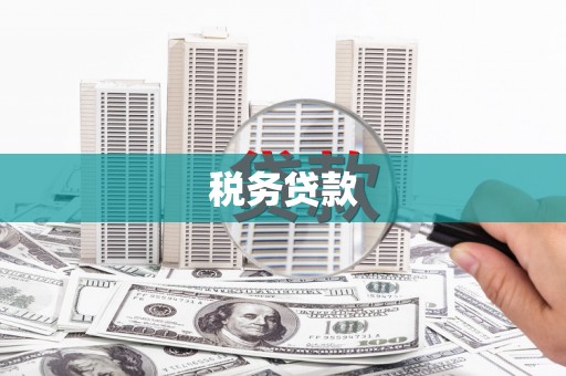 兴安盟税务贷款
