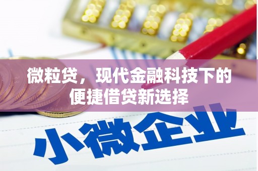 兴安盟微粒贷，现代金融科技下的便捷借贷新选择