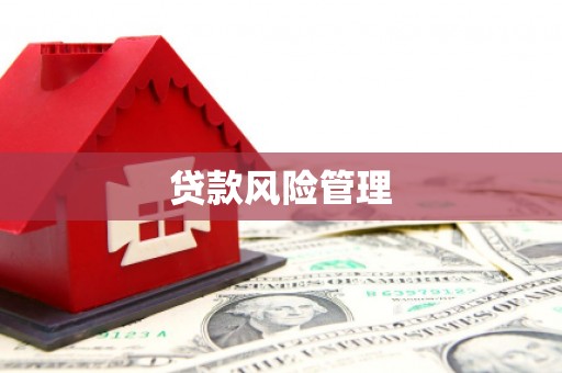 兴安盟贷款风险管理