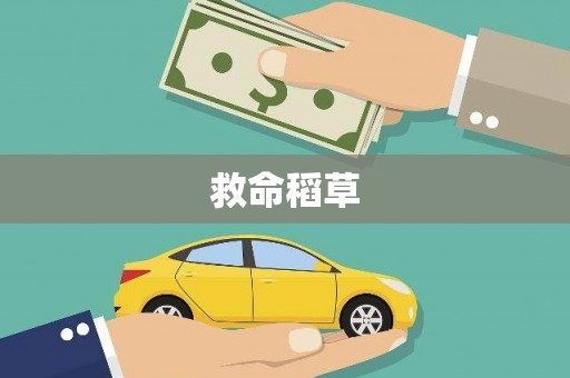 兴安盟救命稻草