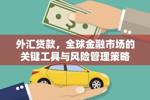 兴安盟外汇贷款，全球金融市场的关键工具与风险管理策略