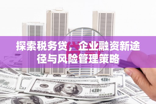 兴安盟探索税务贷，企业融资新途径与风险管理策略