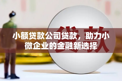 兴安盟小额贷款公司贷款，助力小微企业的金融新选择