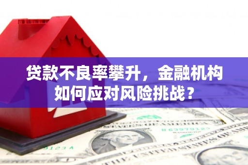 兴安盟贷款不良率攀升，金融机构如何应对风险挑战？