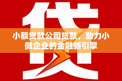 兴安盟小额贷款公司贷款，助力小微企业的金融新引擎