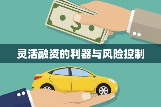 兴安盟灵活融资的利器与风险控制