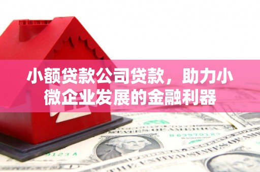 兴安盟小额贷款公司贷款，助力小微企业发展的金融利器