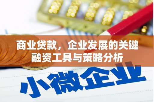 兴安盟商业贷款，企业发展的关键融资工具与策略分析