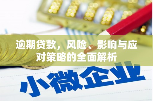 兴安盟逾期贷款，风险、影响与应对策略的全面解析