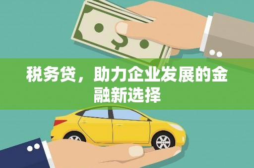 兴安盟税务贷，助力企业发展的金融新选择