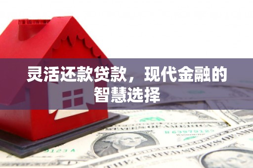 兴安盟灵活还款贷款，现代金融的智慧选择
