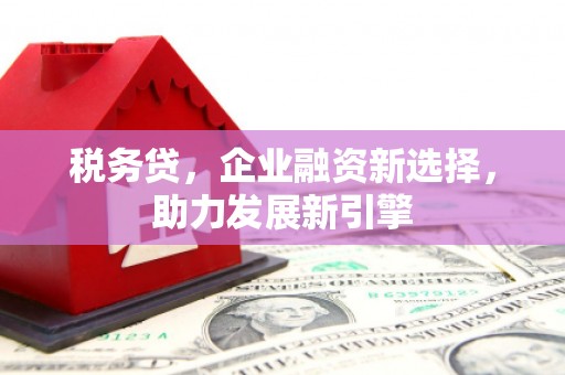 兴安盟税务贷，企业融资新选择，助力发展新引擎
