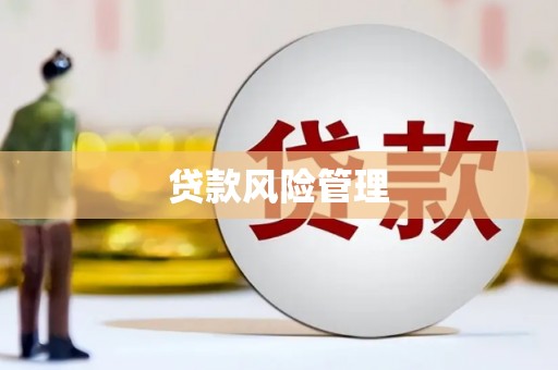 兴安盟贷款风险管理