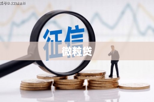 兴安盟微粒贷