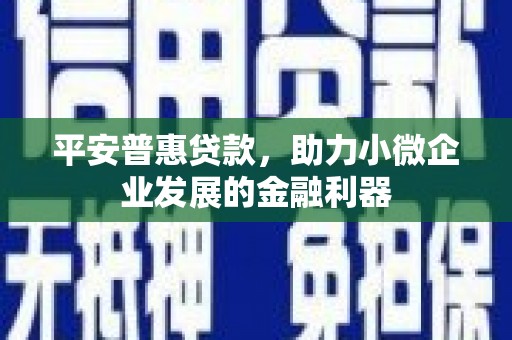 兴安盟平安普惠贷款，助力小微企业发展的金融利器