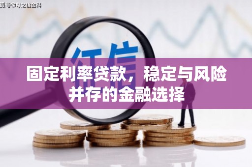 兴安盟固定利率贷款，稳定与风险并存的金融选择