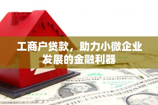 兴安盟工商户贷款，助力小微企业发展的金融利器