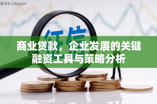 兴安盟商业贷款，企业发展的关键融资工具与策略分析