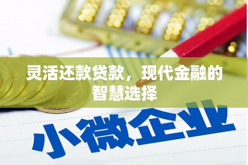 兴安盟灵活还款贷款，现代金融的智慧选择