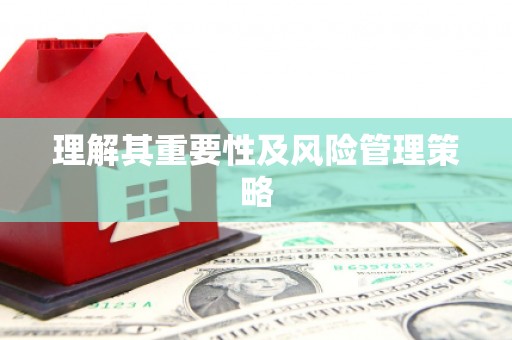兴安盟理解其重要性及风险管理策略
