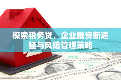 兴安盟探索税务贷，企业融资新途径与风险管理策略