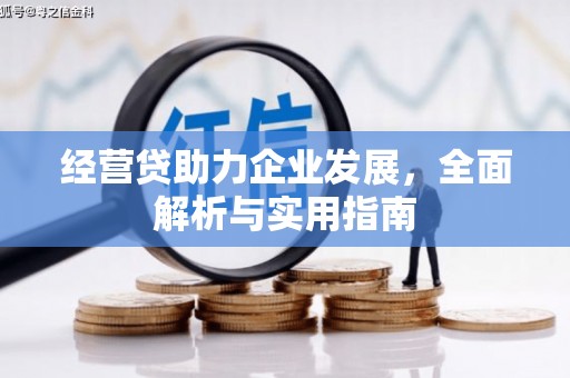 兴安盟经营贷助力企业发展，全面解析与实用指南