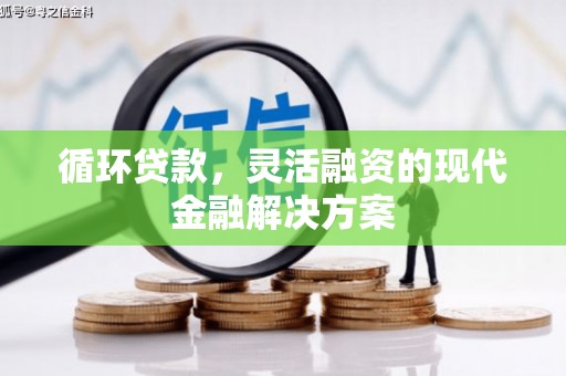 兴安盟循环贷款，灵活融资的现代金融解决方案