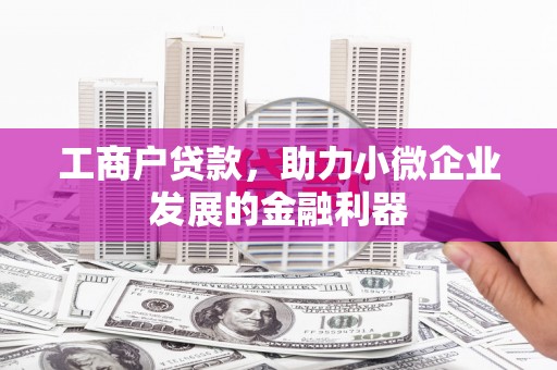 兴安盟工商户贷款，助力小微企业发展的金融利器