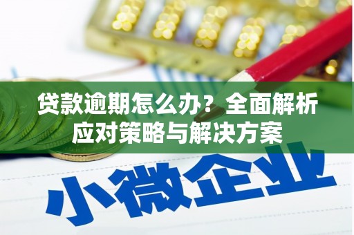 兴安盟贷款逾期怎么办？全面解析应对策略与解决方案