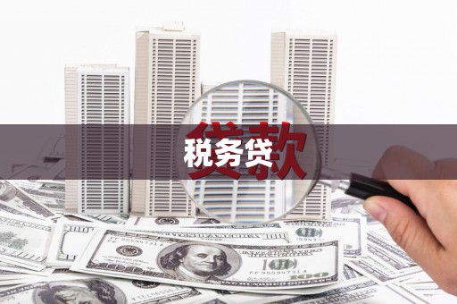 兴安盟税务贷
