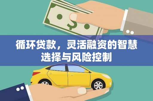 兴安盟循环贷款，灵活融资的智慧选择与风险控制
