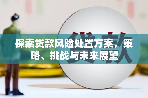 兴安盟探索贷款风险处置方案，策略、挑战与未来展望