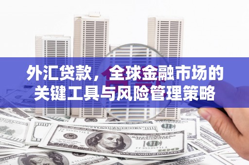 兴安盟外汇贷款，全球金融市场的关键工具与风险管理策略