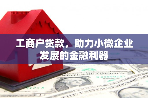 兴安盟工商户贷款，助力小微企业发展的金融利器