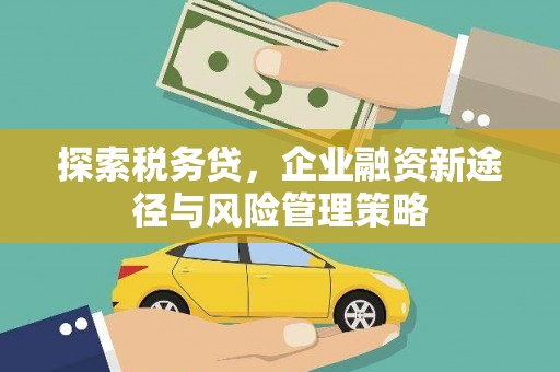 兴安盟探索税务贷，企业融资新途径与风险管理策略