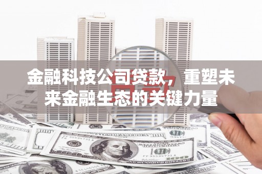 兴安盟金融科技公司贷款，重塑未来金融生态的关键力量