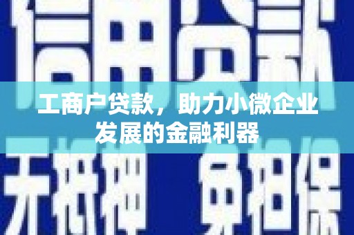 兴安盟工商户贷款，助力小微企业发展的金融利器