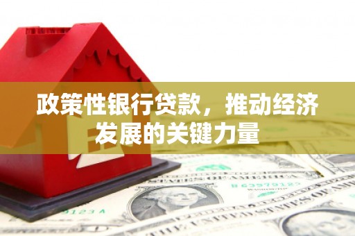 兴安盟政策性银行贷款，推动经济发展的关键力量