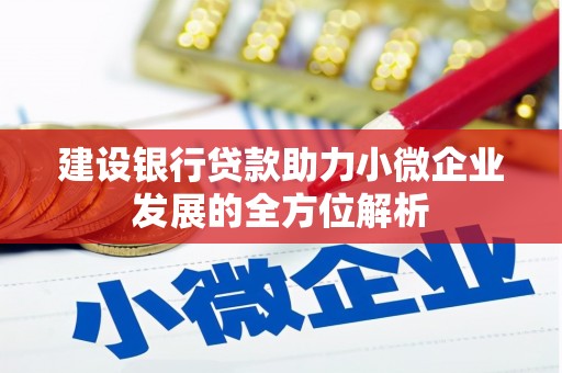兴安盟建设银行贷款助力小微企业发展的全方位解析