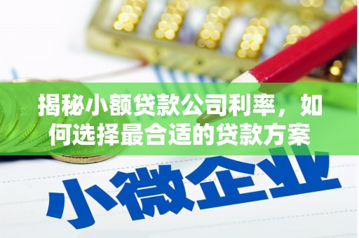 兴安盟揭秘小额贷款公司利率，如何选择最合适的贷款方案