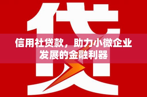 兴安盟信用社贷款，助力小微企业发展的金融利器