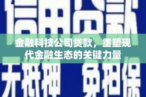 兴安盟金融科技公司贷款，重塑现代金融生态的关键力量