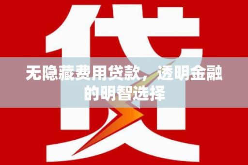 兴安盟无隐藏费用贷款，透明金融的明智选择