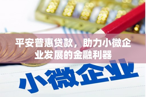 兴安盟平安普惠贷款，助力小微企业发展的金融利器