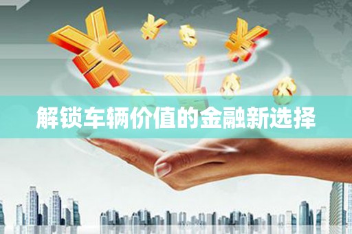 兴安盟解锁车辆价值的金融新选择