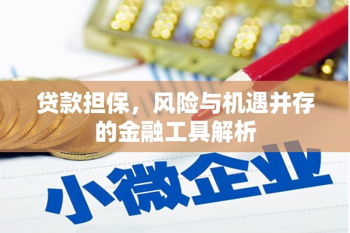 兴安盟贷款担保，风险与机遇并存的金融工具解析