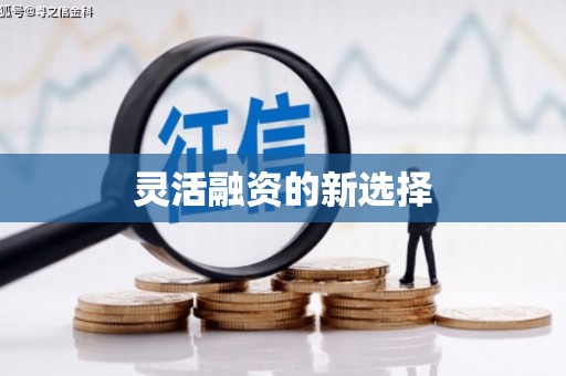 兴安盟灵活融资的新选择